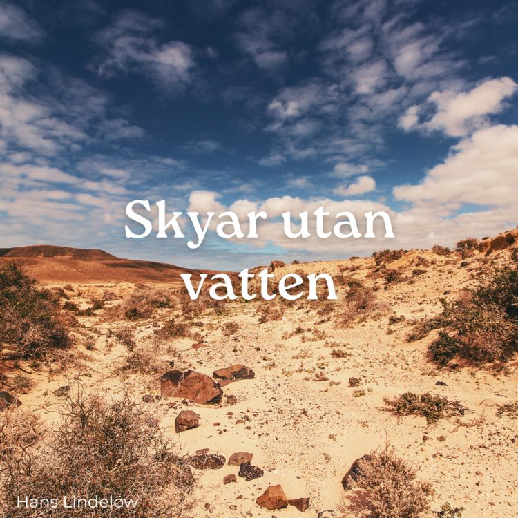 cover art for Skyar utan vatten