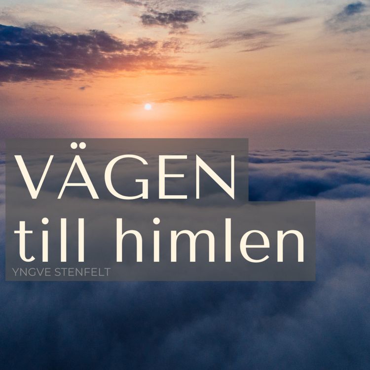 cover art for Vägen till himlen