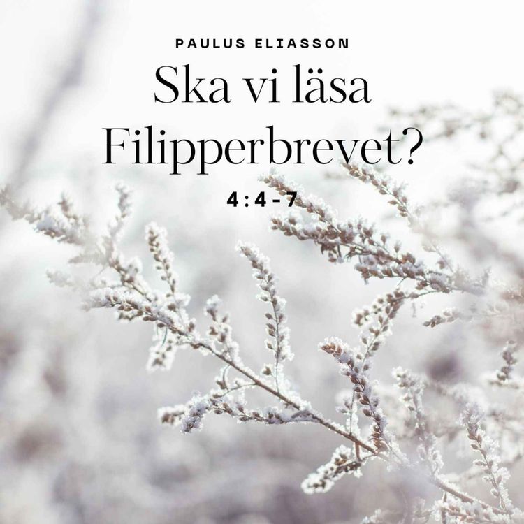 cover art for Ska vi läsa Filipperbrevet? (4:4-7)