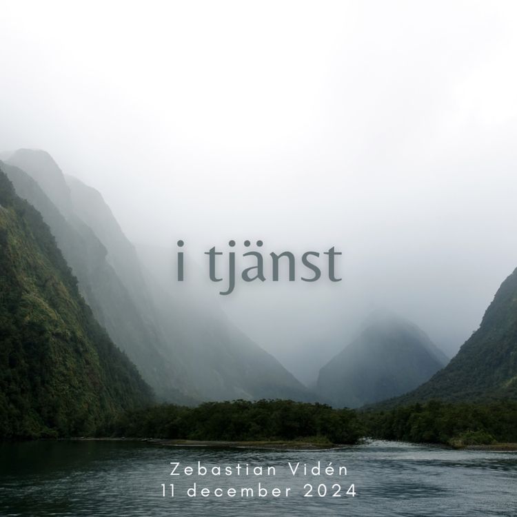 cover art for I tjänst