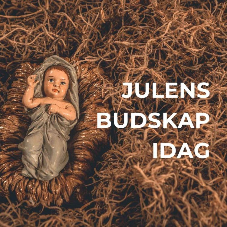 cover art for Julens budskap idag