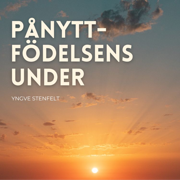 cover art for Pånyttfödelsens under