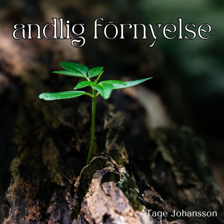 cover art for Andlig förnyelse