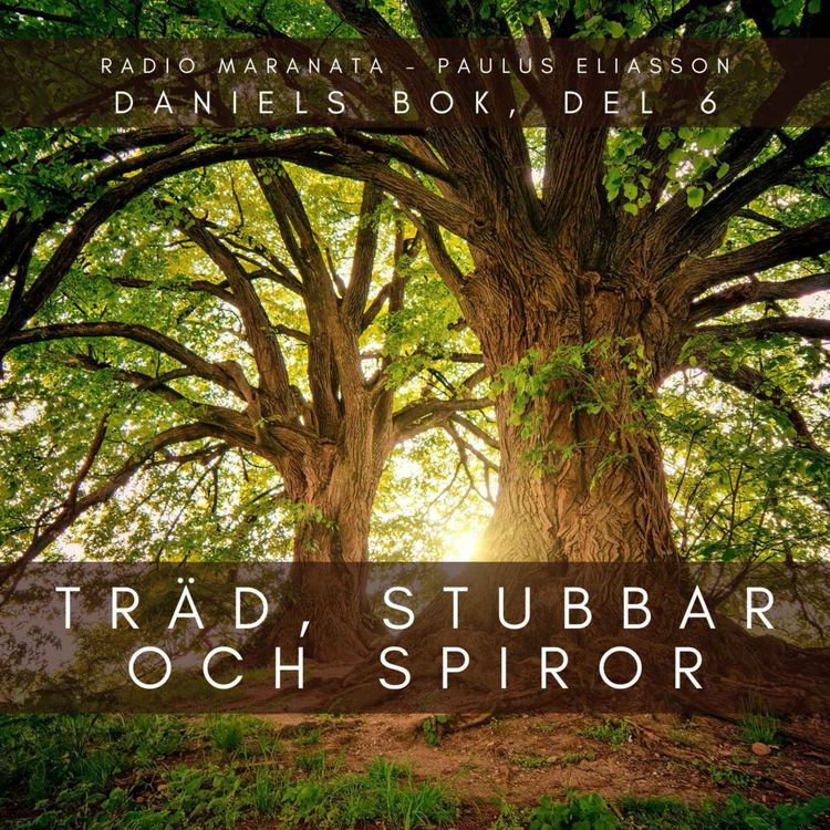 cover art for Träd, stubbar och spiror (Daniels bok, del 6)