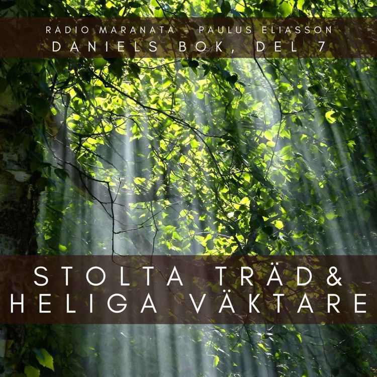 cover art for Stolta träd & heliga väktare