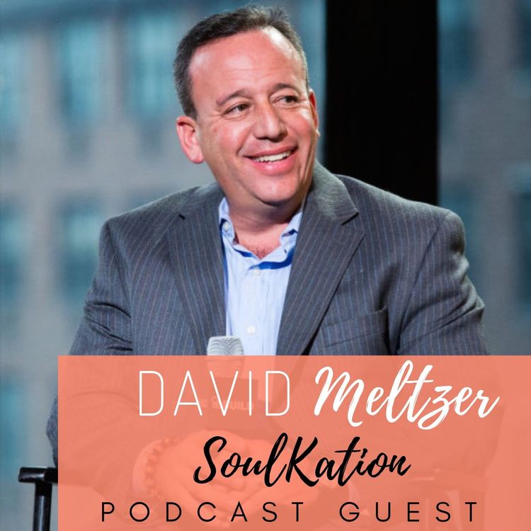 cover art for The Art of Running Multiple Businesses with David Meltzer