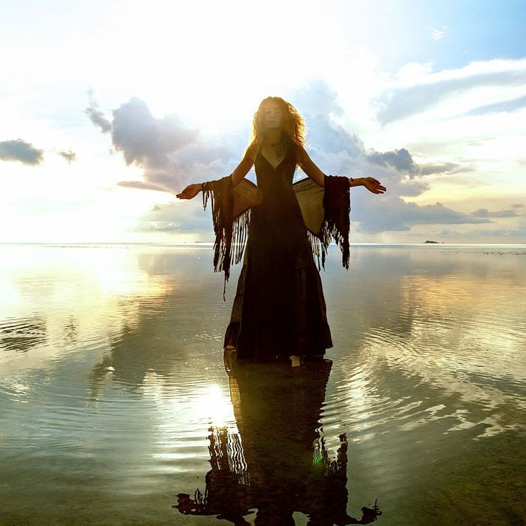 cover art for The Goddess Danu Transmission: Guardian of the Faery Races (The Tuatha Dé Danann.)