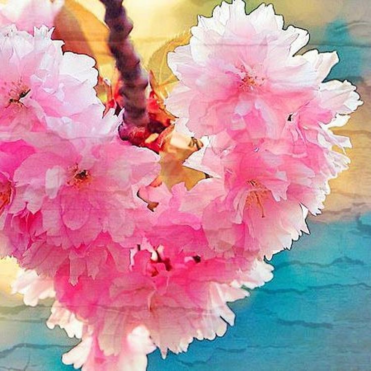 cover art for Archangel Haniel Transmission: Invoking New Frequencies of Peace, Harmony, Joy and Love.