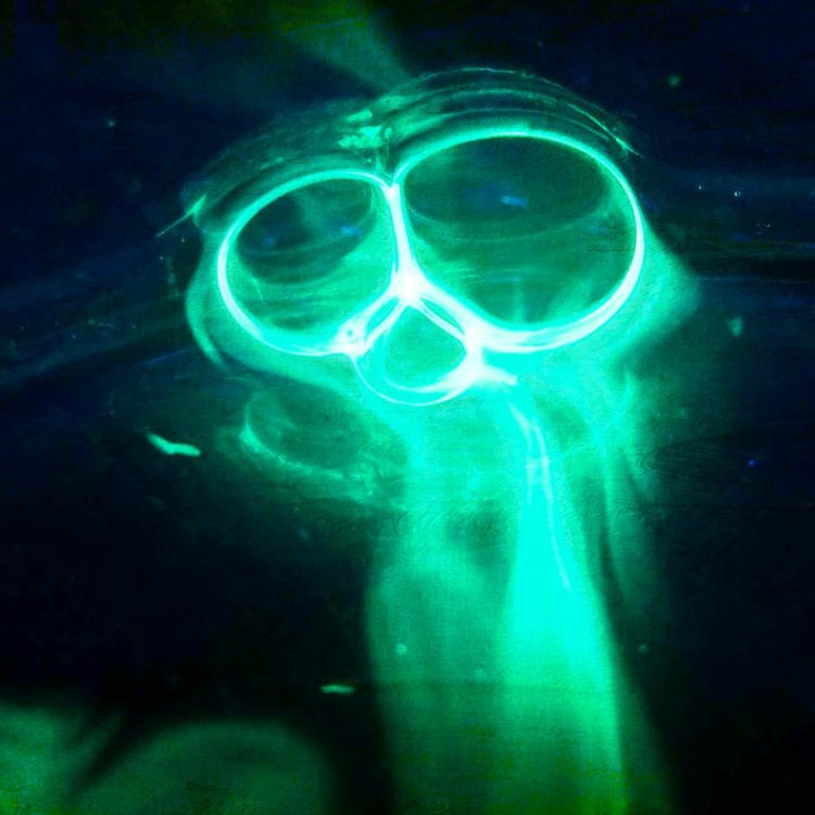 cover art for The Golden Mantis Race Transmission: Connecting to a Higher Dimension of Love and Wisdom