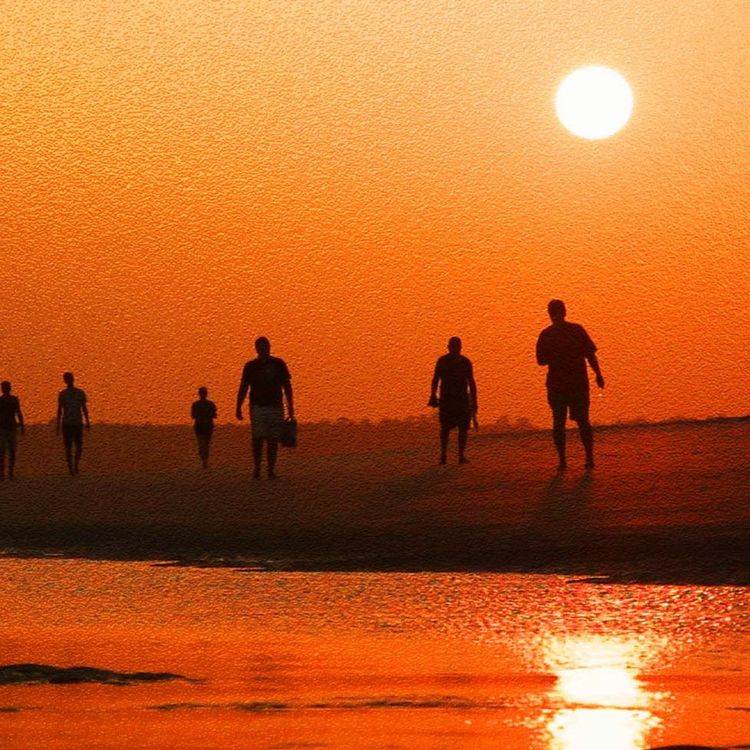 cover art for Bloodline Clearing Transmission: Clearing and Re-Aligning to a Higher Light