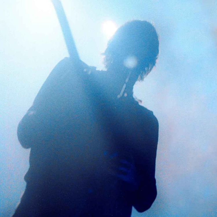 cover art for Yellow Brit Road: Geese live in Toronto!