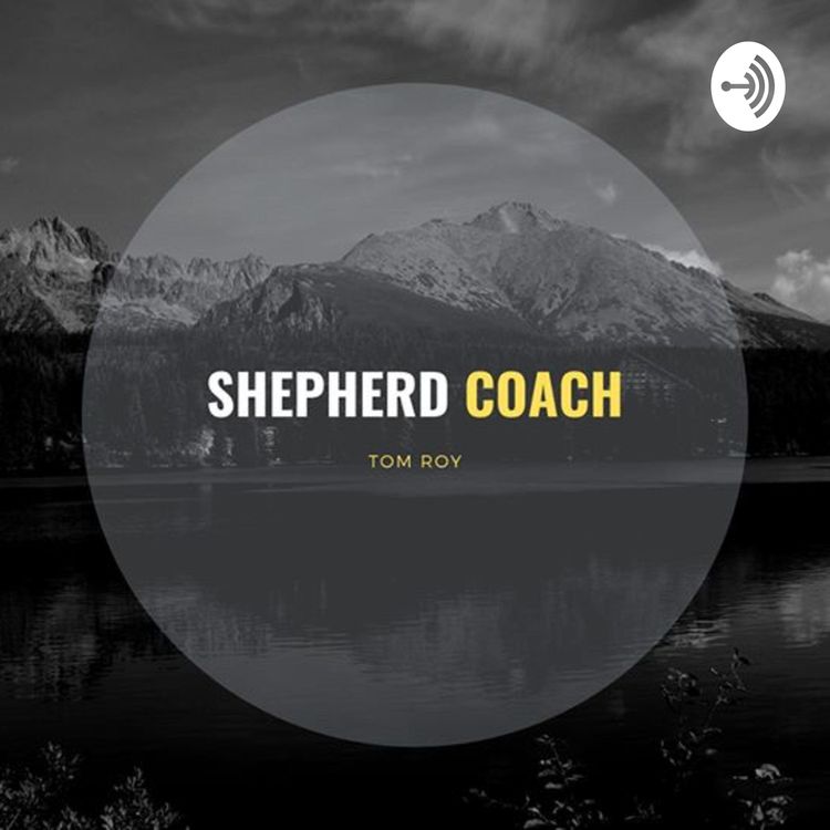 cover art for Shepherd Coach Services