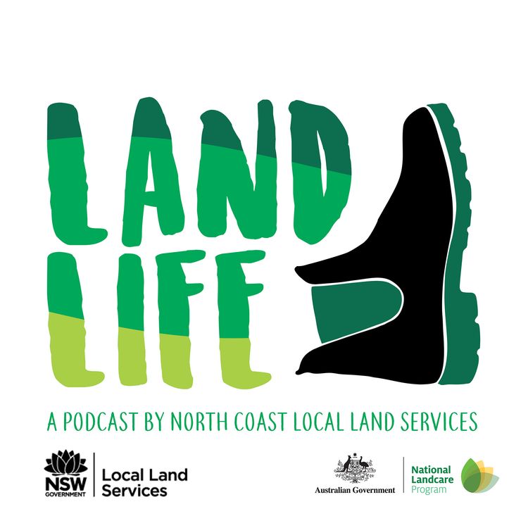 cover art for Rehoming wild horses on the North Coast