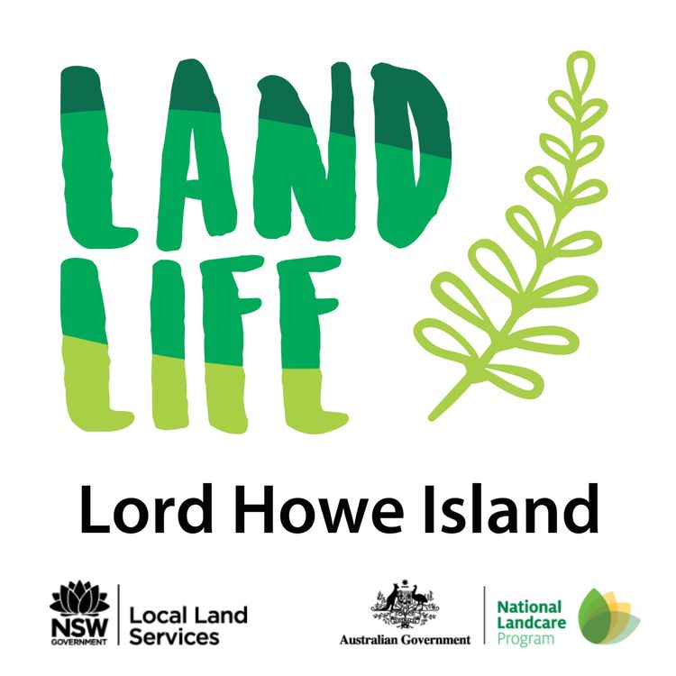 cover art for In the beginning - the Lord Howe Island Weed Eradication Program