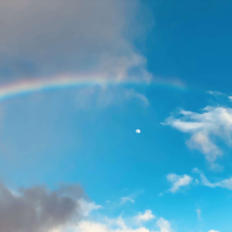 cover art for Social Engineering the future