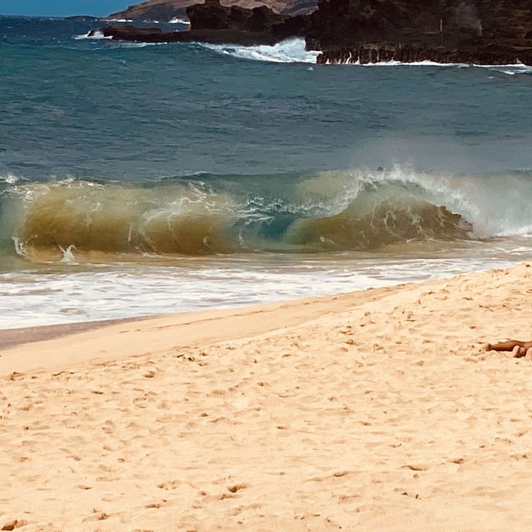 cover art for Held at gunpoint, Beautiful Women & Spitwads