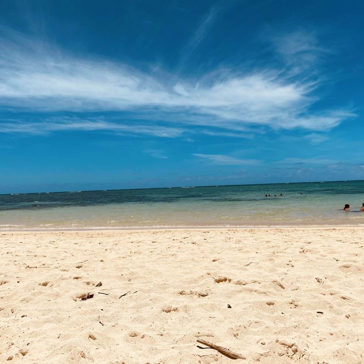 cover art for Technopoly: The surrender of culture to technology