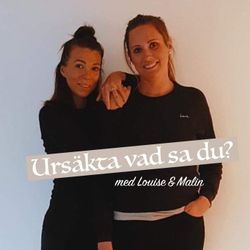 cover art for Ursäkta vad sa du?