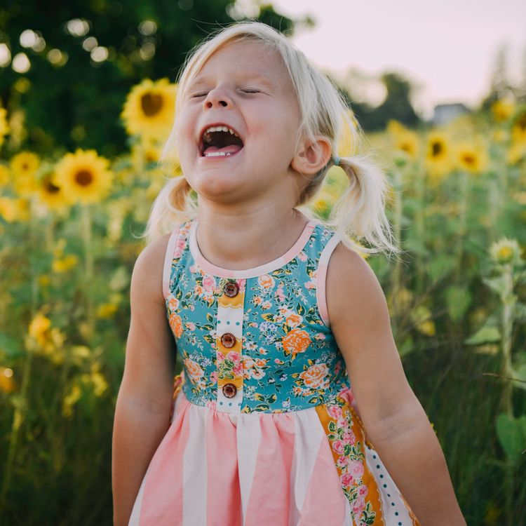 cover art for The Story of Funny