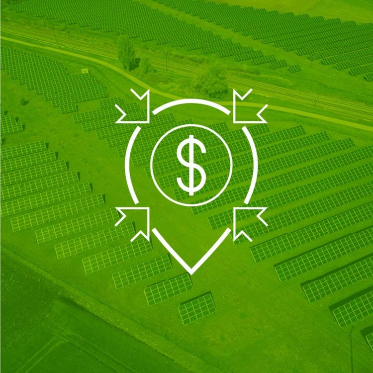 cover art for Local Currency Financing