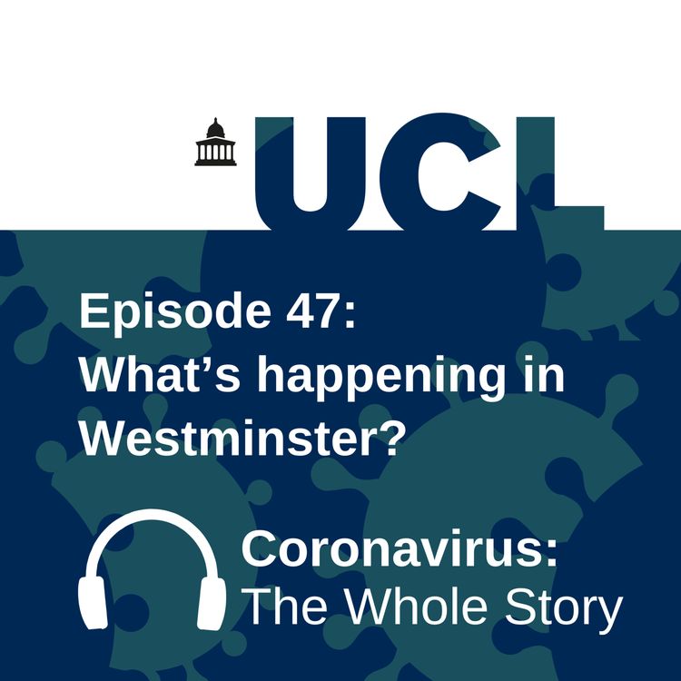 cover art for What's happening in Westminster?