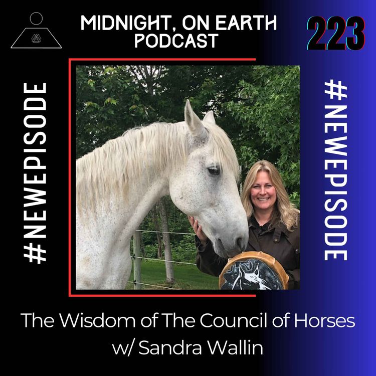 cover art for Episode 223 - The Wisdom of The Council of Horses w/ Sandra Wallin