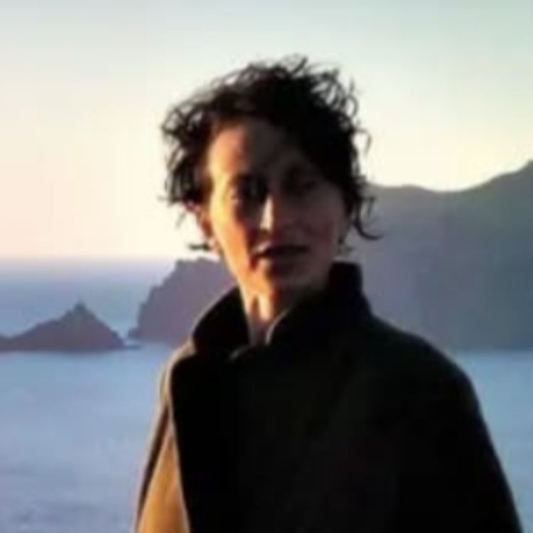 cover art for Wild Irish Siobhan De Paor