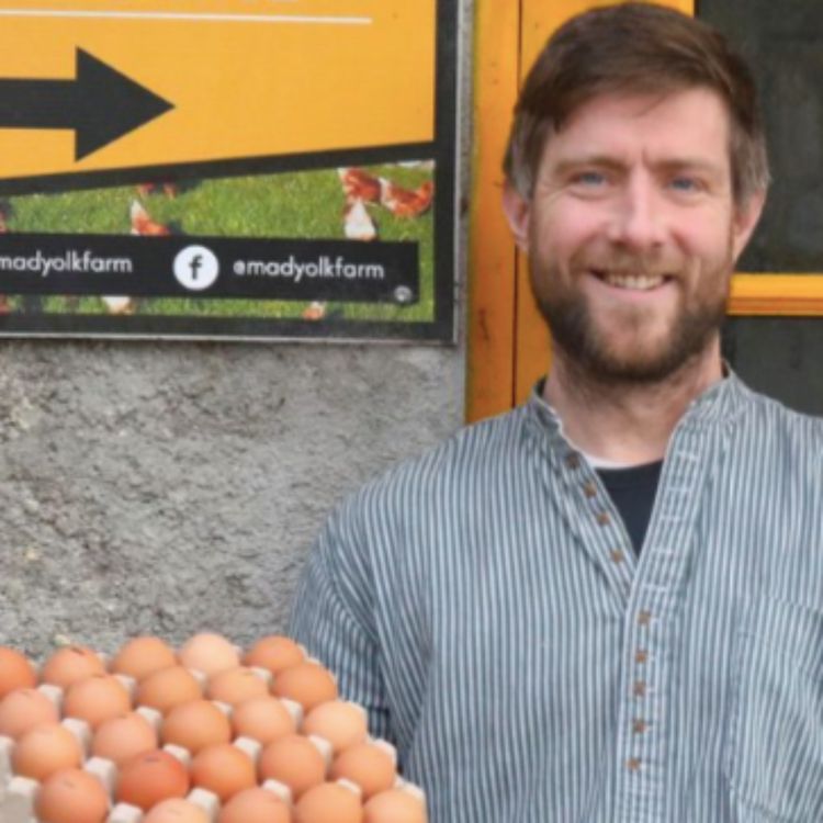 cover art for Mad Yolk Farm