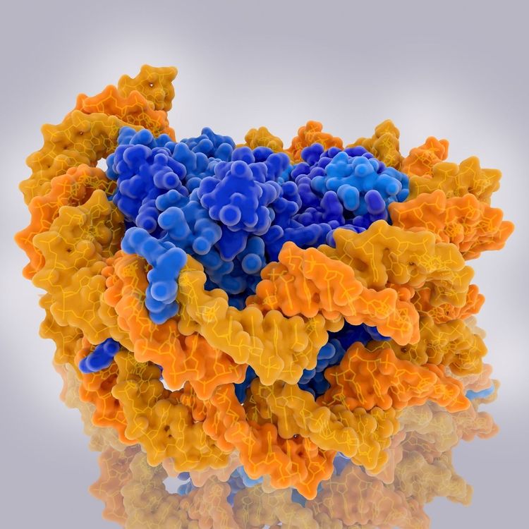 cover art for Revealing the regulome: using multiomic approaches to explore epigenetics and DNA expression