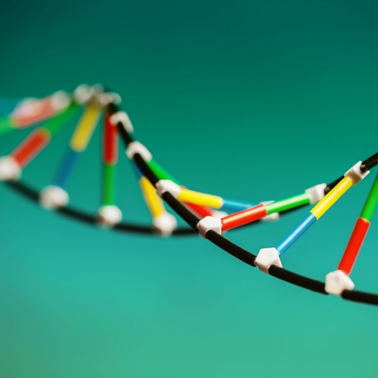 cover art for Target enrichment for NGS: why, how and what's next?