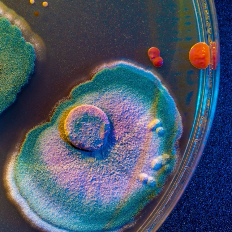 cover art for Synthetic biology: from cancer to the climate crisis