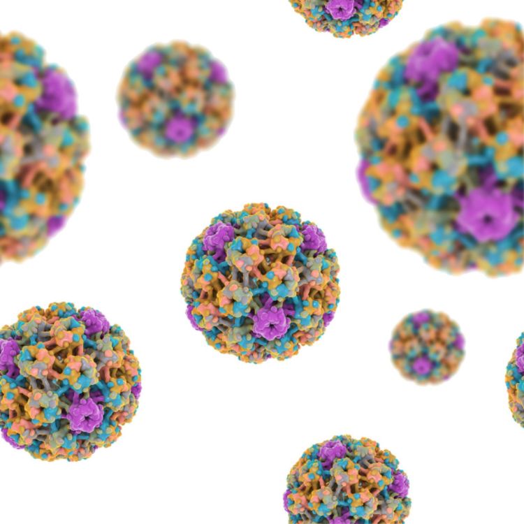 cover art for HPV, epigenetics and cancer: sequencing for new insights and to correct healthcare inequality 