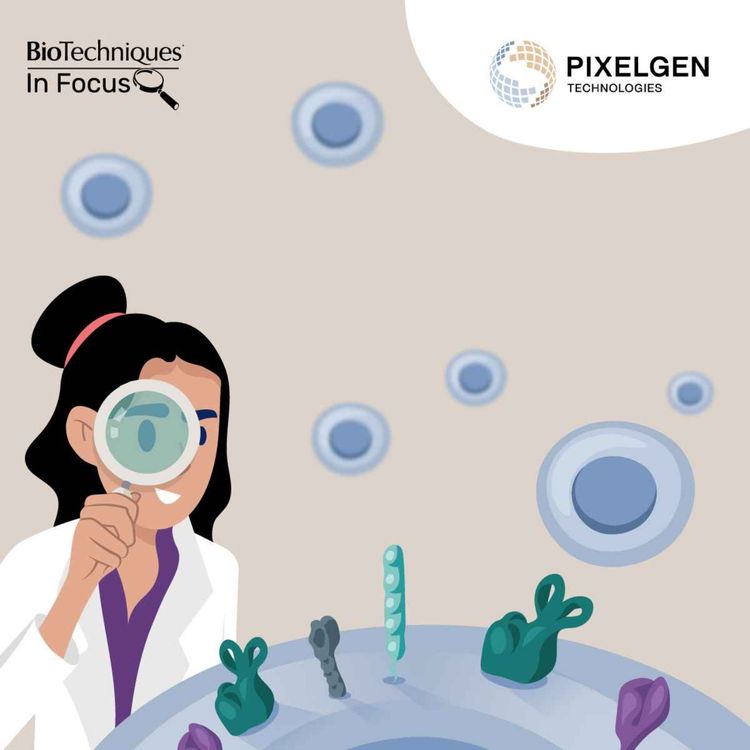 cover art for Spatial analysis of the immune-cell-surface proteome at a single-cell resolution
