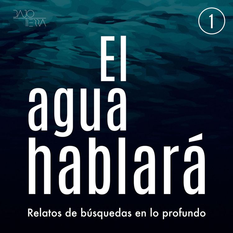 cover art for Todo fluye menos la búsqueda