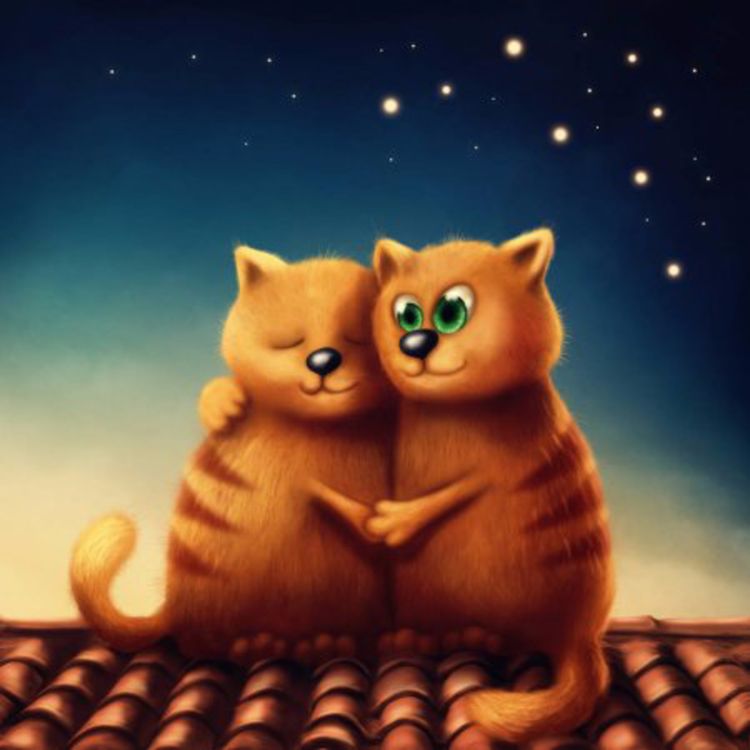 cover art for Cuento infantil cantado "La gata Migonna"