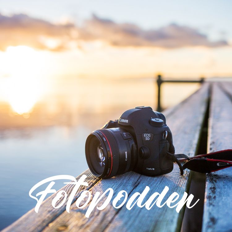 cover art for 19. Emily Dahl