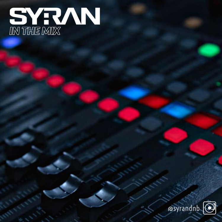 cover art for SyRan - In the Mix 273