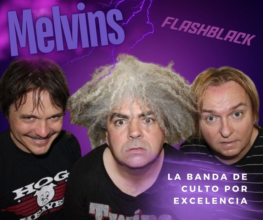 cover art for MELVINS
