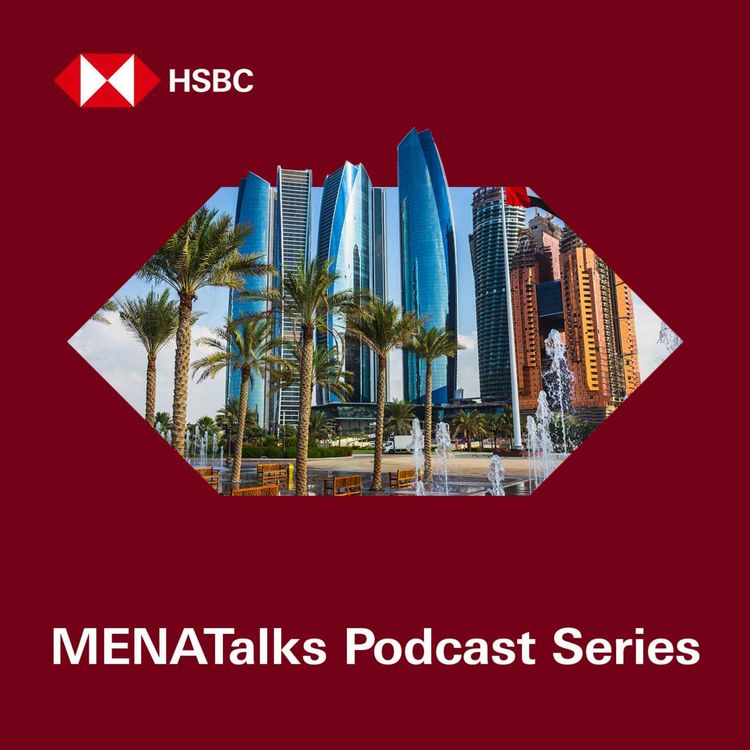 cover art for MENATalks: A Prime Finance – Capital Intelligence Podcast Series – The MENA Pulse: Middle Eastern Allocator Sentiment