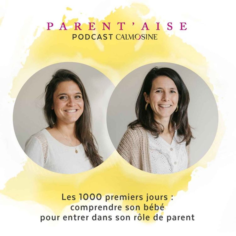 cover art for Les 1000 premiers jours : comprendre son bébé pour entrer dans son rôle de parent