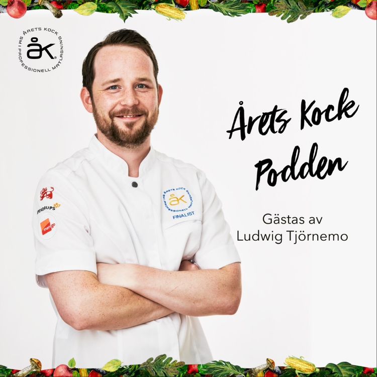 cover art for Ludwig Tjörnemo