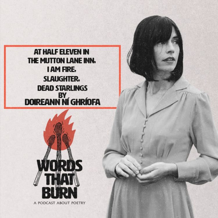 cover art for at half eleven in the Mutton Lane in, I am fire, slaughter, dead starlings by Doireann Ní Ghríofa