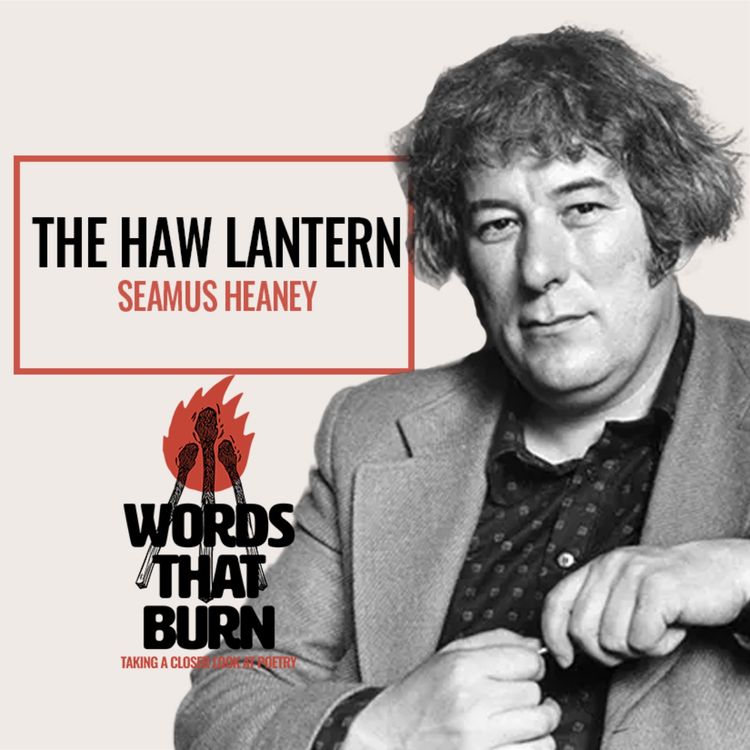 cover art for The Haw Lantern by Seamus Heaney