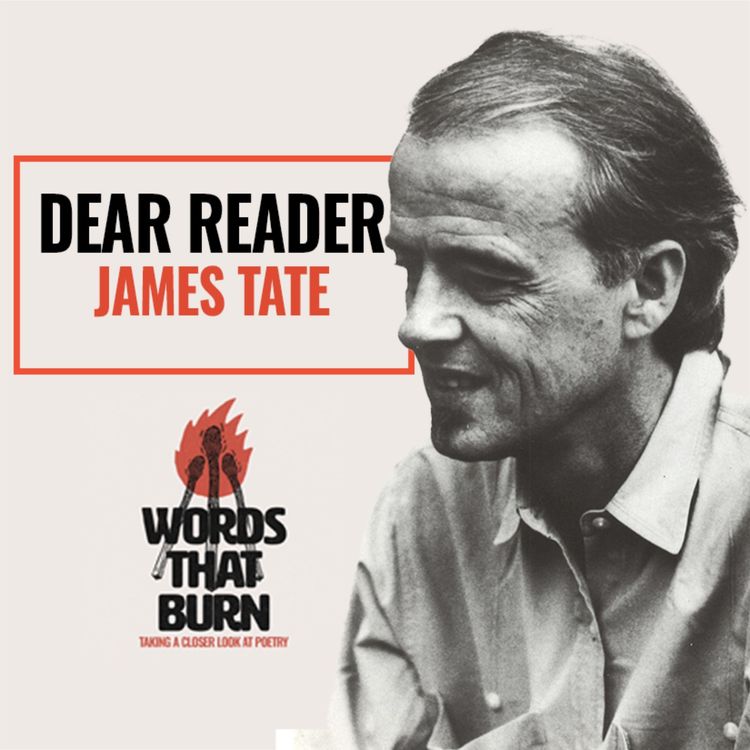 cover art for Dear Reader by James Tate