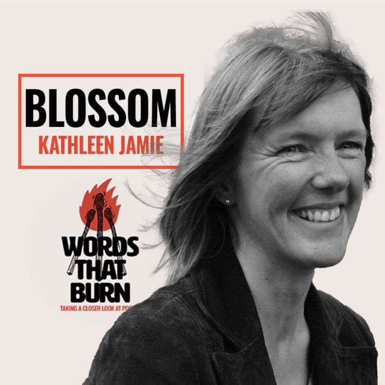 cover art for Blossom by Kathleen Jamie