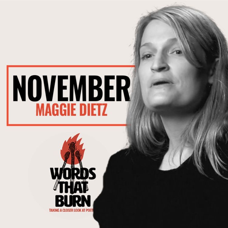 cover art for November by Maggie Dietz