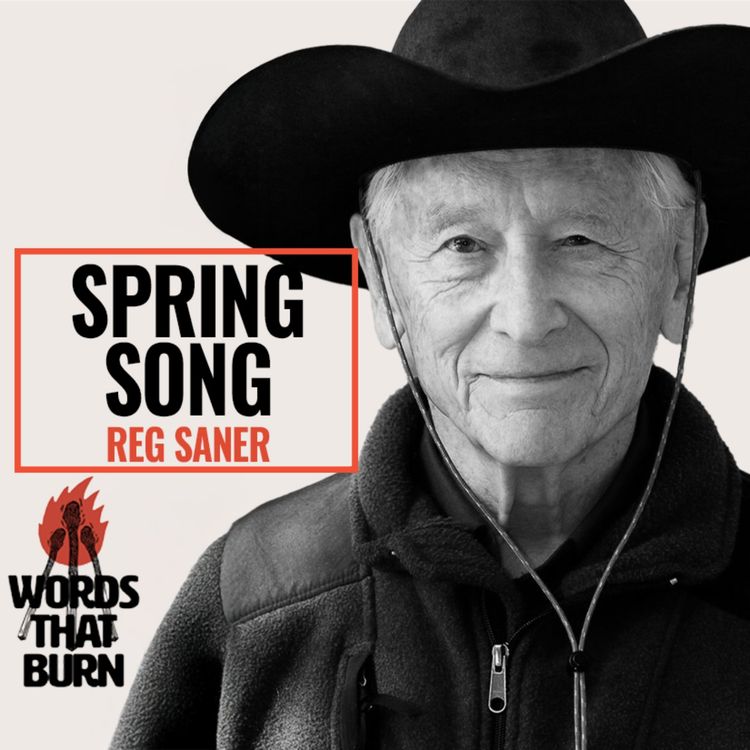 cover art for Spring Song by Reg Saner