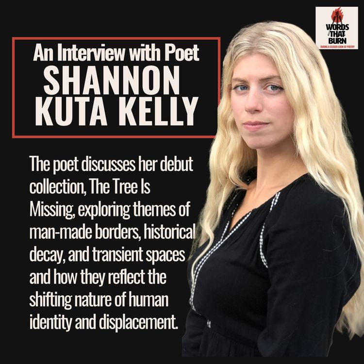 cover art for Shannon Kuta Kelly on Liminal Spaces, Folklore, and Her Debut Collection The Tree is Missing