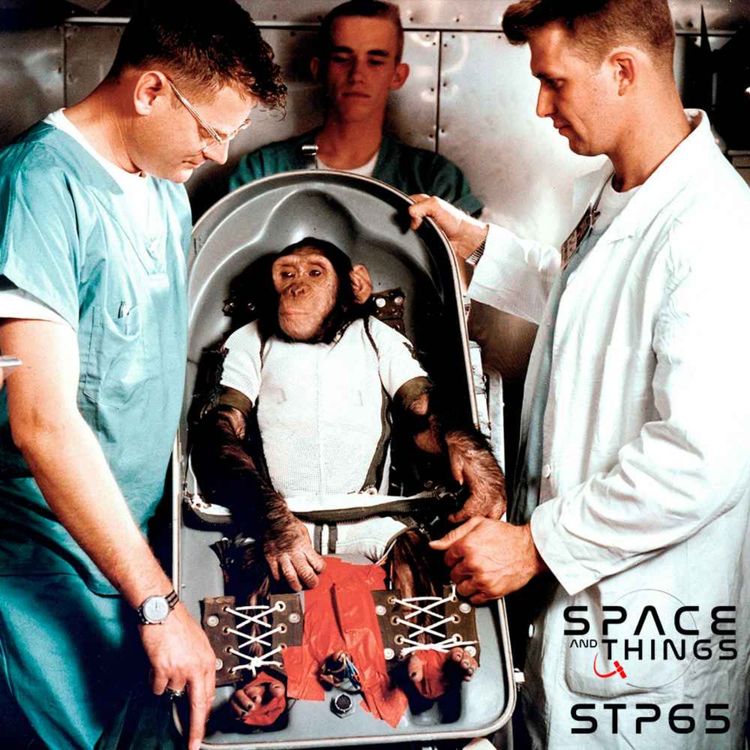 cover art for STP65 - The Remarkable and Tragic Story of Enos The Astrochimp 60 years on. Plus Other Space Animals with Stephen Walker
