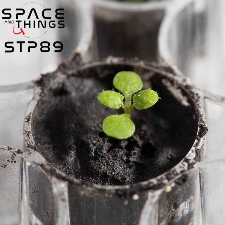 cover art for STP89 - Plants Grown In Lunar Soil For The First Time - With Dr. Anna-Lisa Paul.